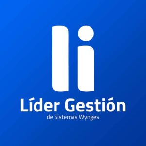 lider gestion logo